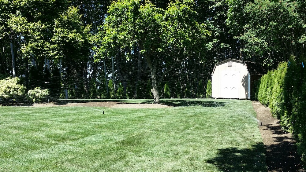 2021 Bermuda Sod Prices How Much Is A Pallet of Sod?